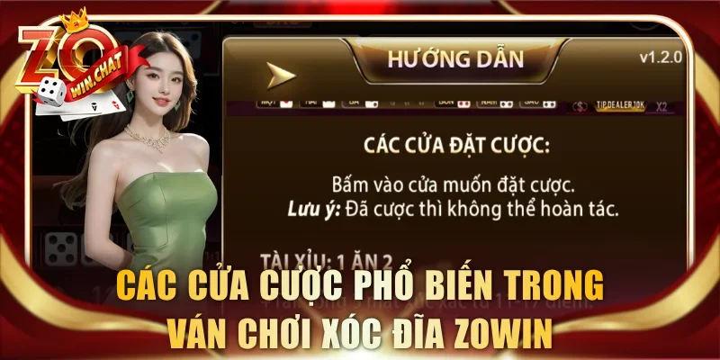 Các cửa cược phổ biến trong ván chơi Xóc Đĩa ZOWIN